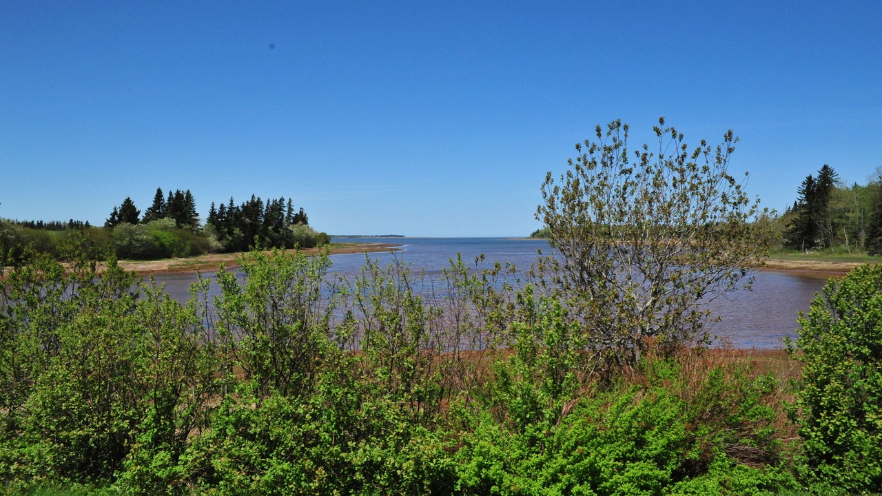 Photo of Outdoor in Little Shemogue