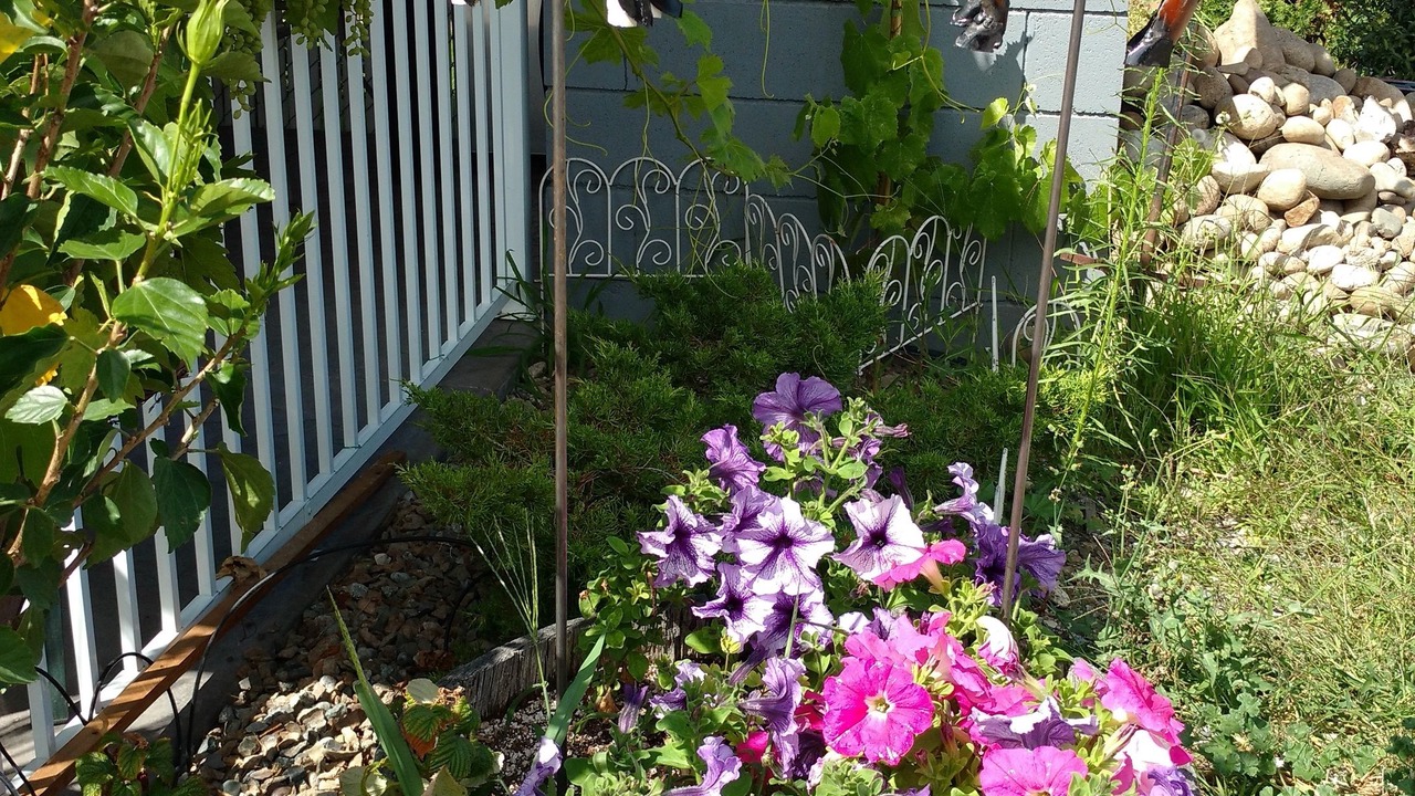 Photo of Outdoor in Oliver
