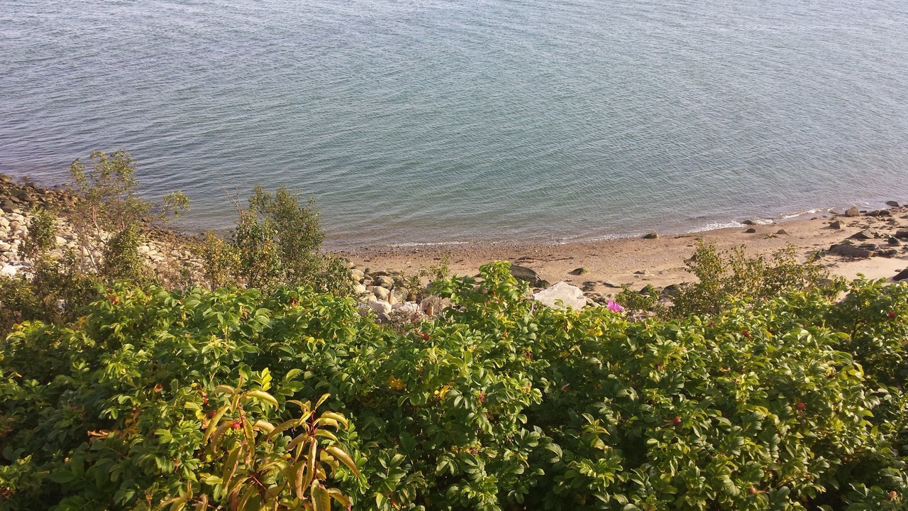 Photo of Others in Saint-Simeon