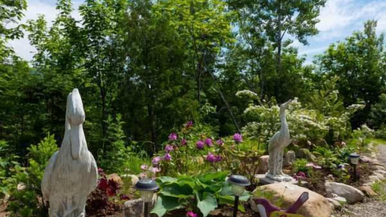 Photo of Outdoor in Saint-Joseph-de-la-Rive