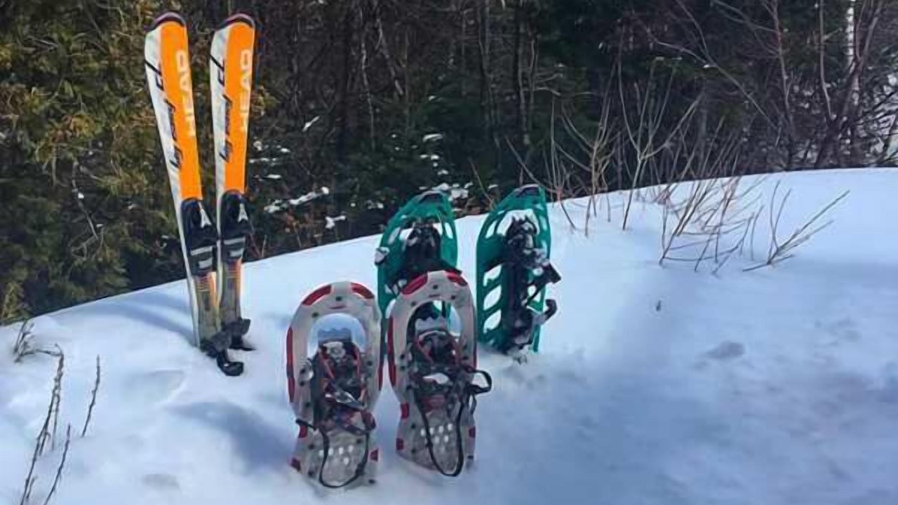 Photo of Others in Saint-Joseph-de-la-Rive