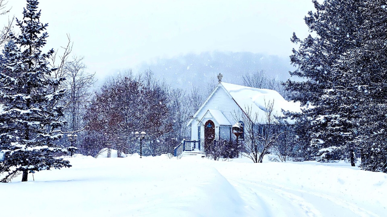 Photo of Outdoor in Harrington