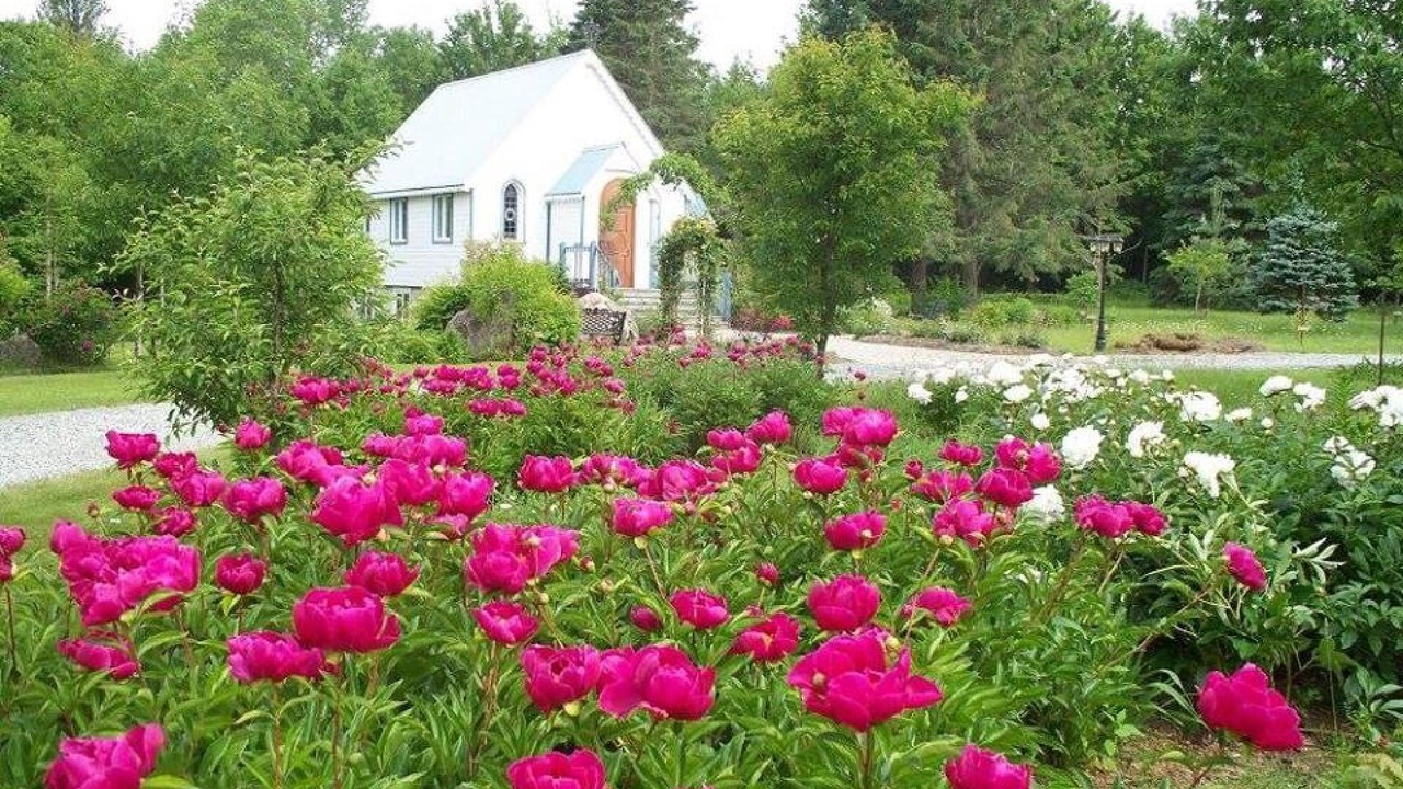 Photo of Outdoor in Harrington