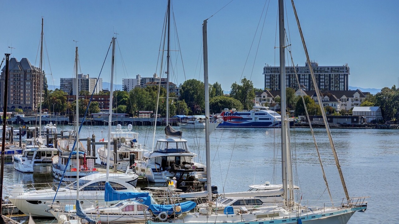 Photo of Others in Inner Harbour