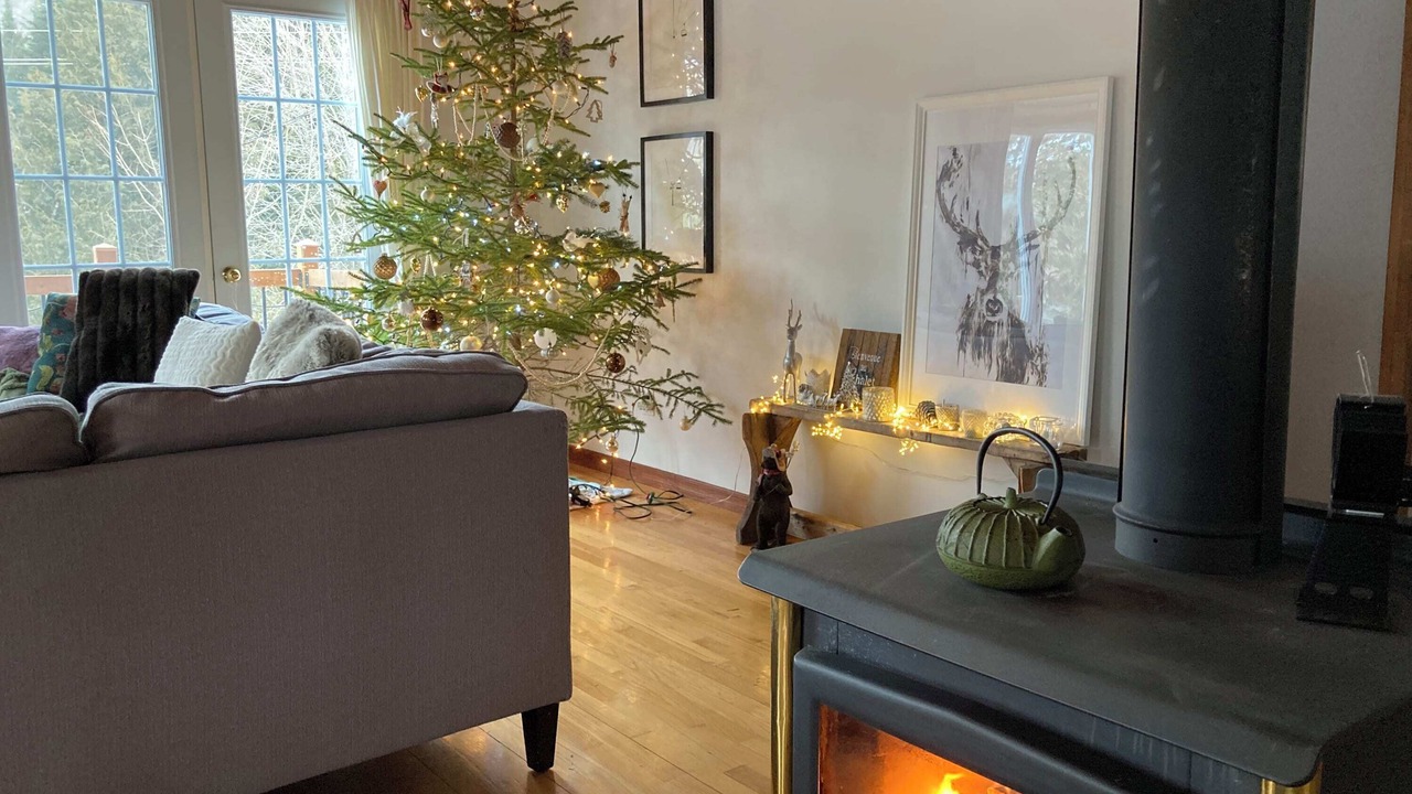 Photo of Livingroom in Saint-Faustin-Lac-Carre