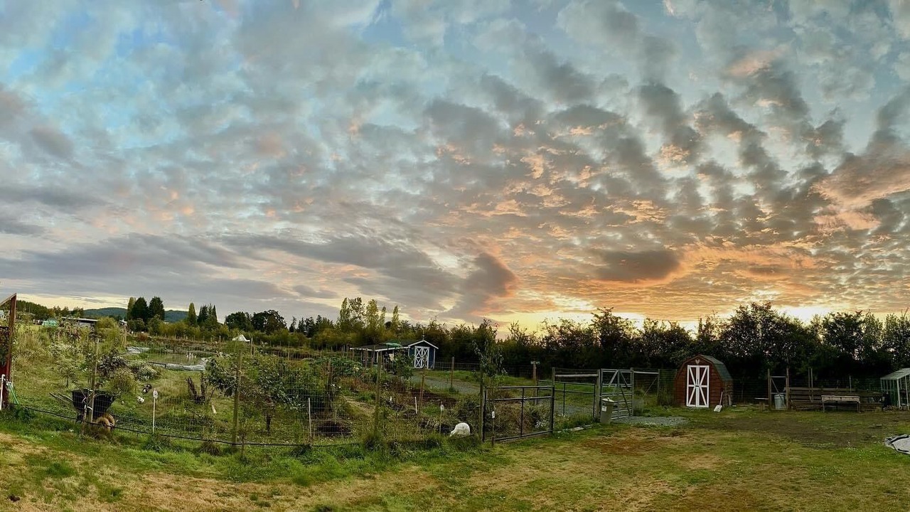 Photo of Outdoor in Brentwood Bay