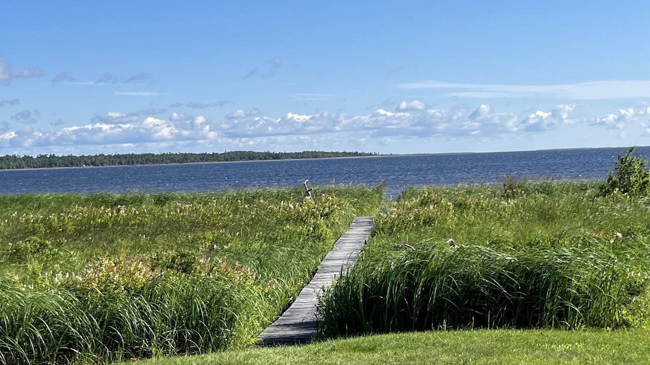 Photo of Others in Acadian Coastal Drive