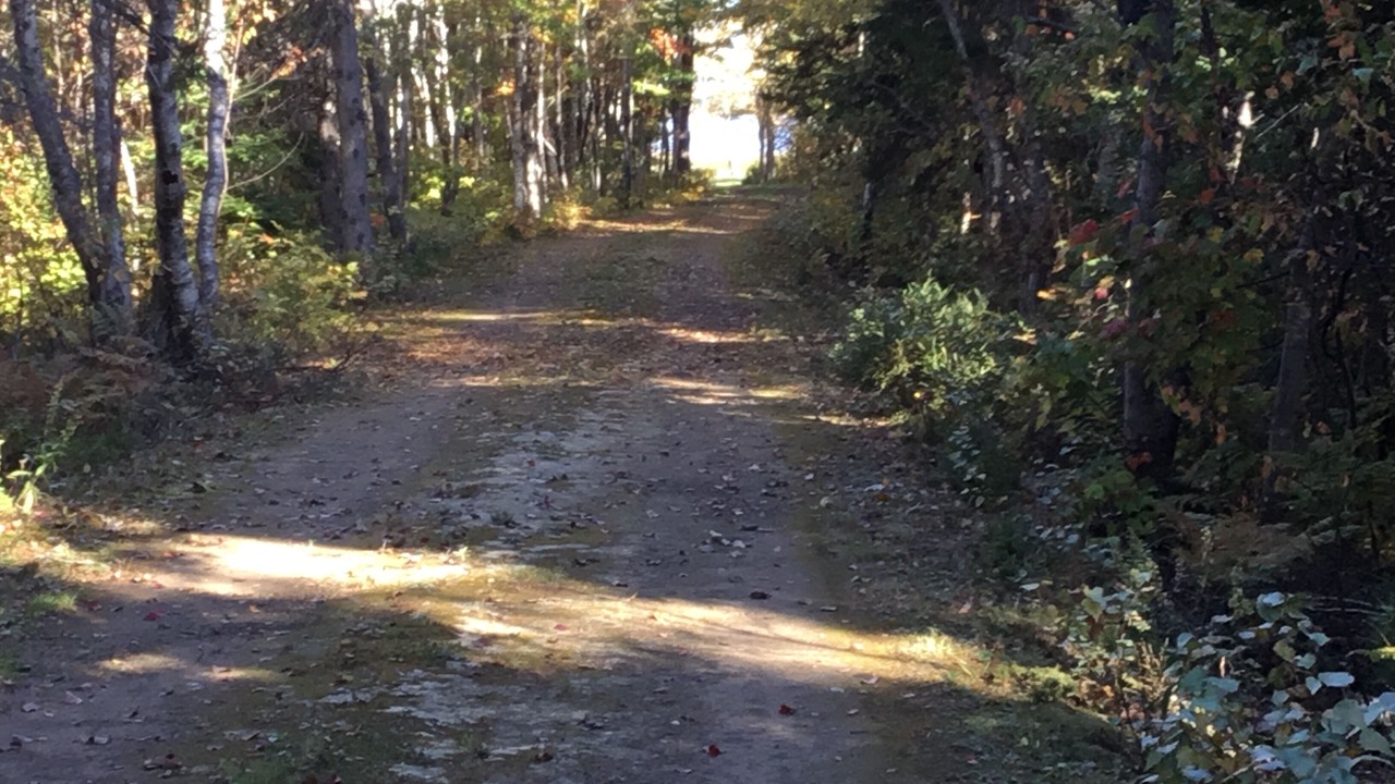 Photo of Outdoor in Acadian Coastal Drive
