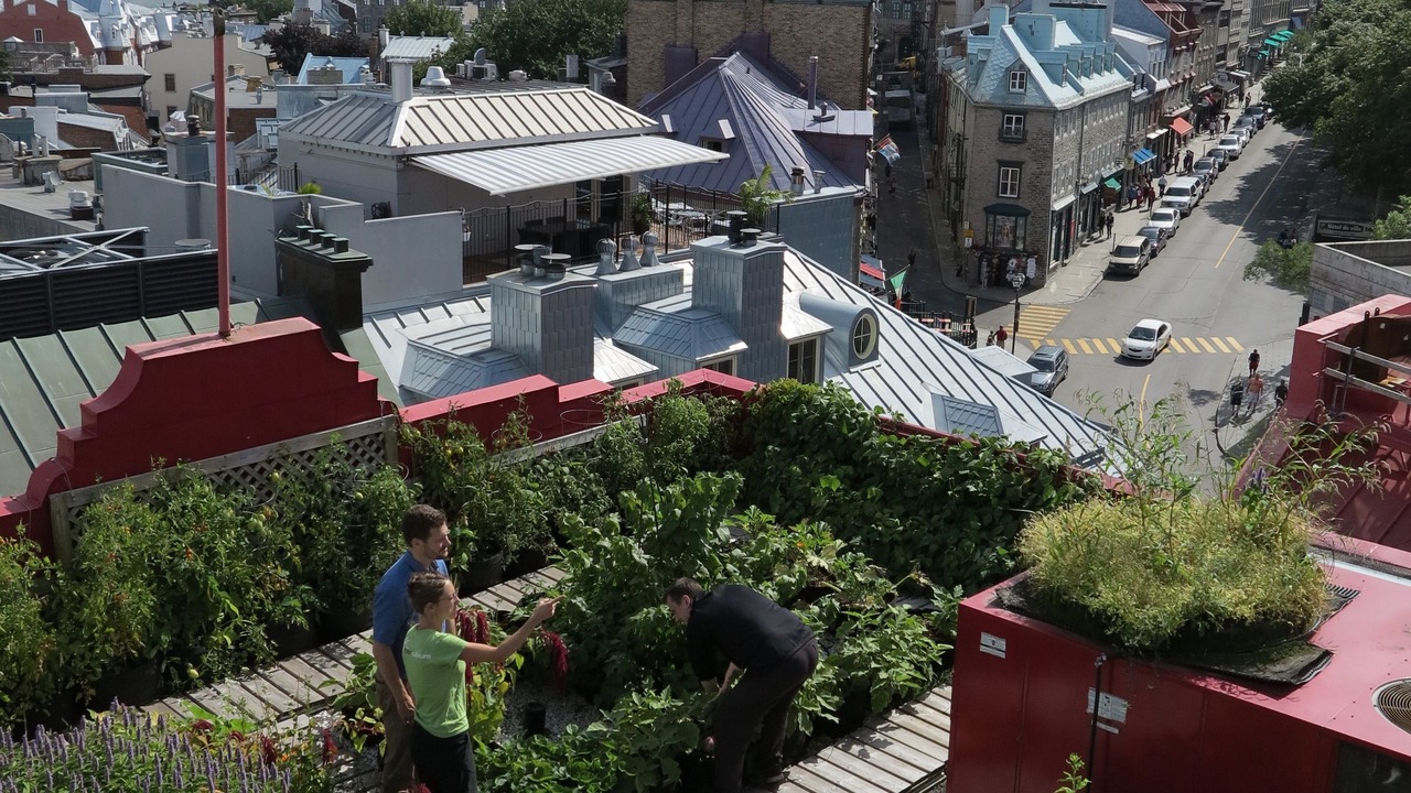 Photo of Outdoor in Old Quebec