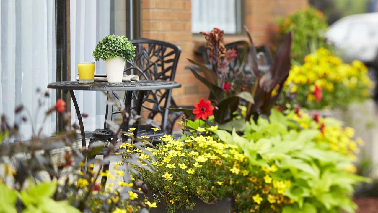 Photo of Patio Balcony in Alma