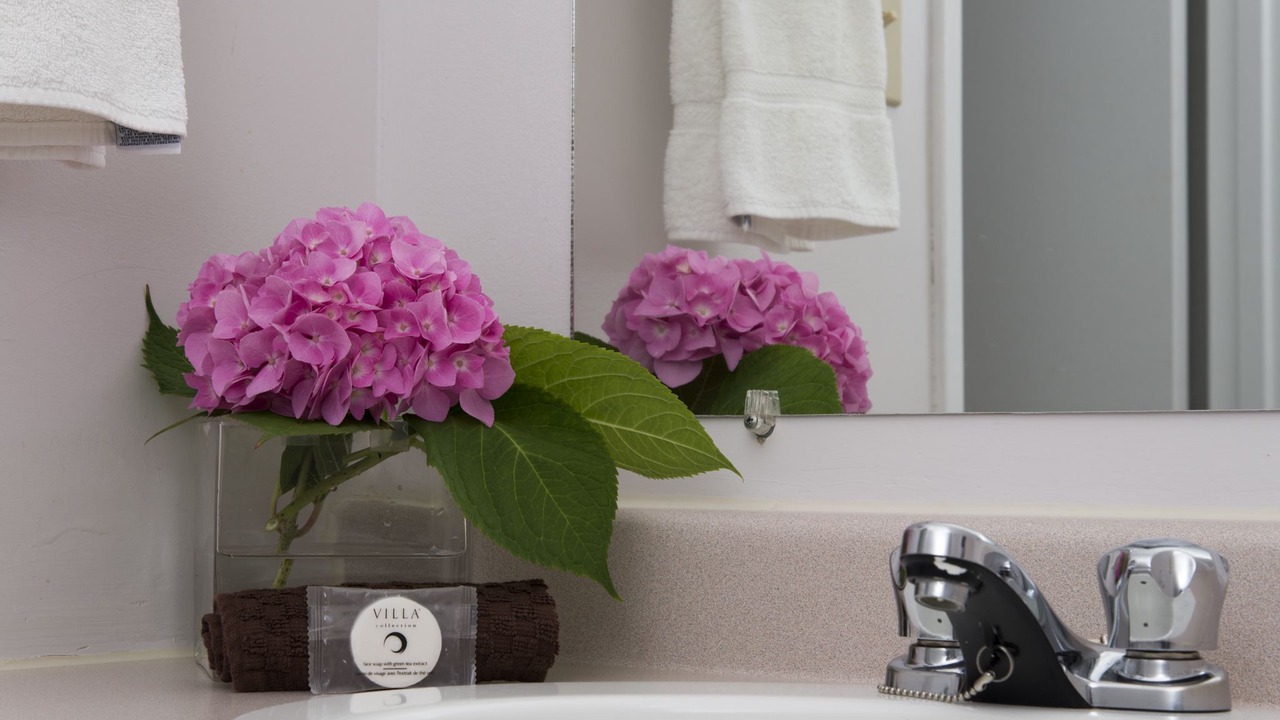 Photo of Bathroom in Okanagan-Similkameen