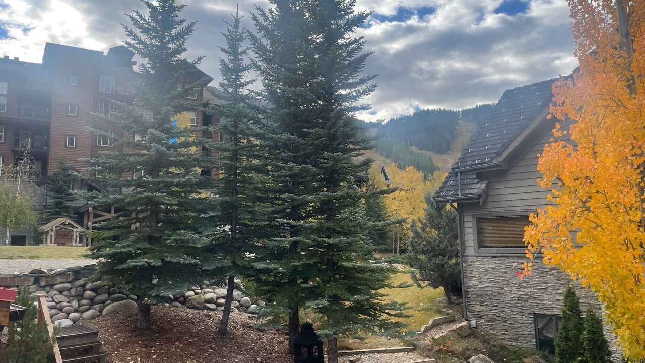 Photo of Outdoor in Panorama