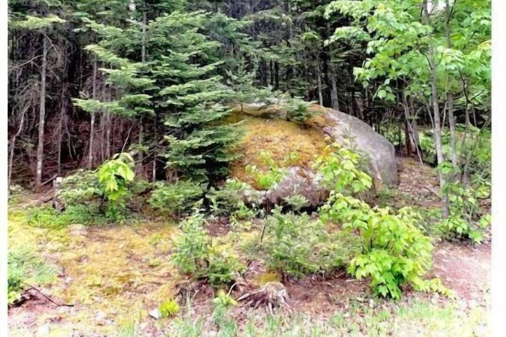 Photo of Outdoor in Saint-Gabriel-de-Valcartier