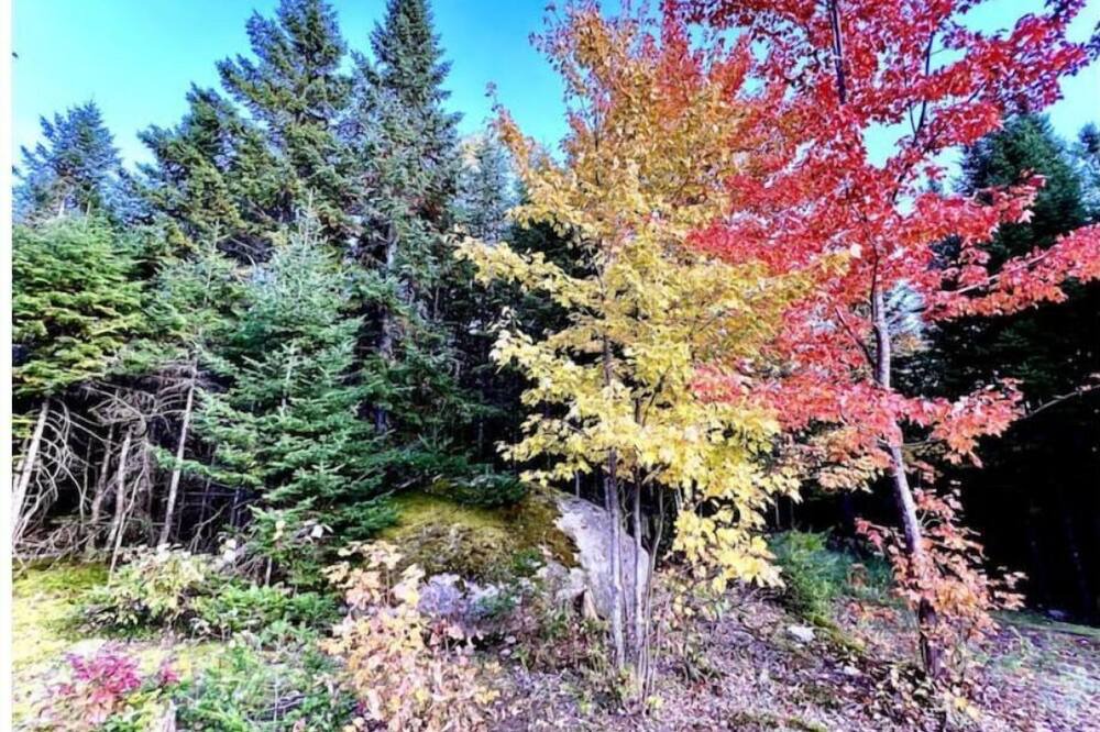 Photo of Outdoor in Saint-Gabriel-de-Valcartier