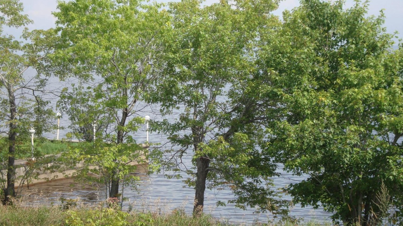 Photo of Outdoor in Roberval