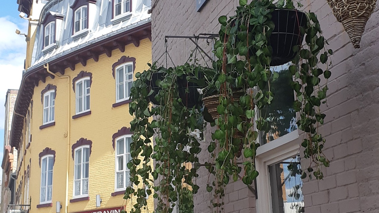 Photo of Others in Lower Town