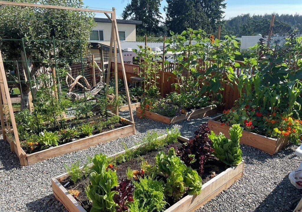 Photo of Outdoor in North Saanich