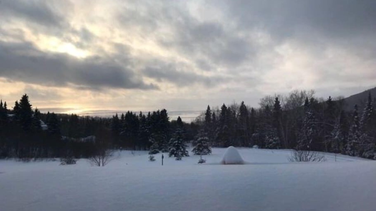 Photo of Others in Petite-Riviere-Saint-Francois