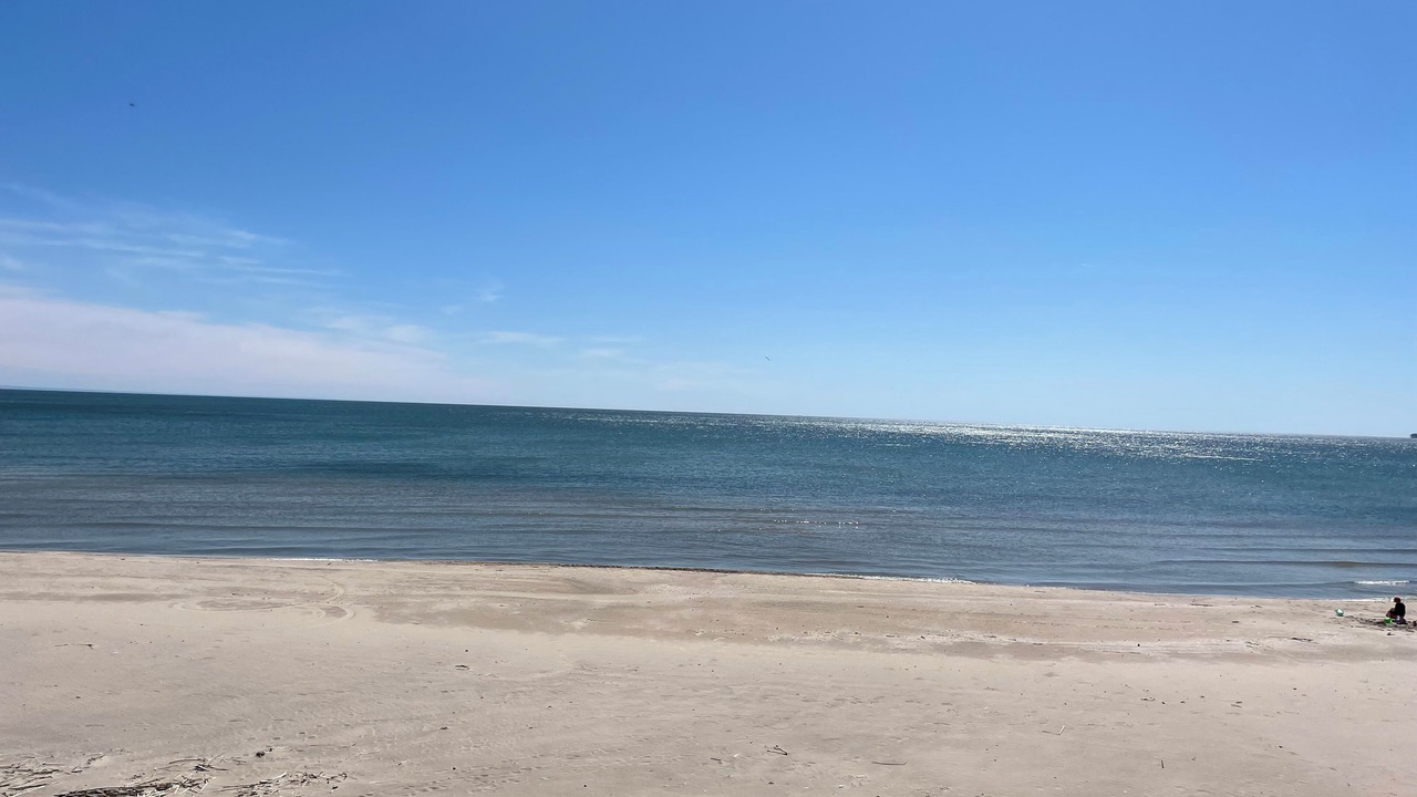 Photo of Others in Point Abino