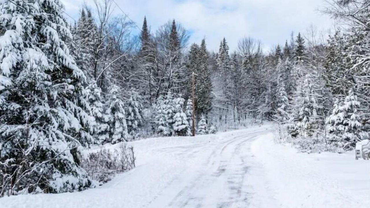 Photo of Others in Grenville-sur-la-Rouge