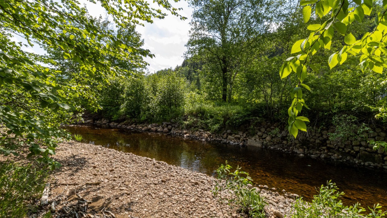 Photo of Outdoor in Saint-Raymond
