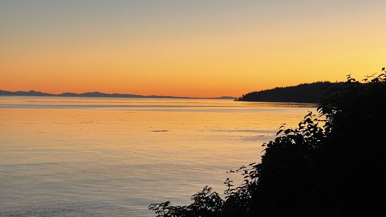 Photo of Others in Otter Point