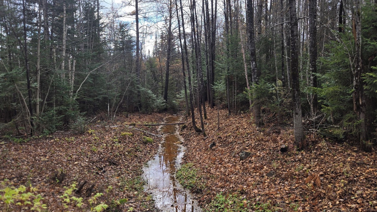 Photo of Others in Sainte-Marguerite-du-Lac-Masson
