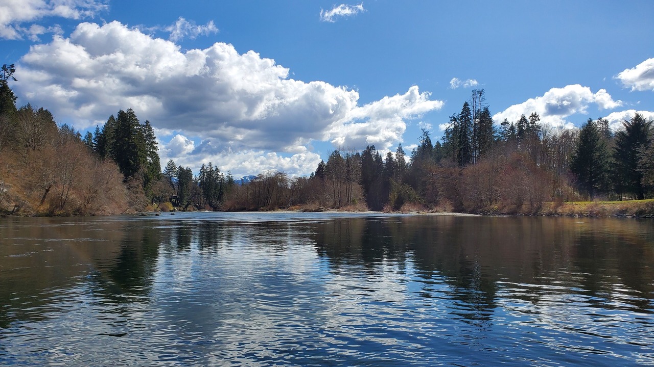 Photo of Others in Port Alberni