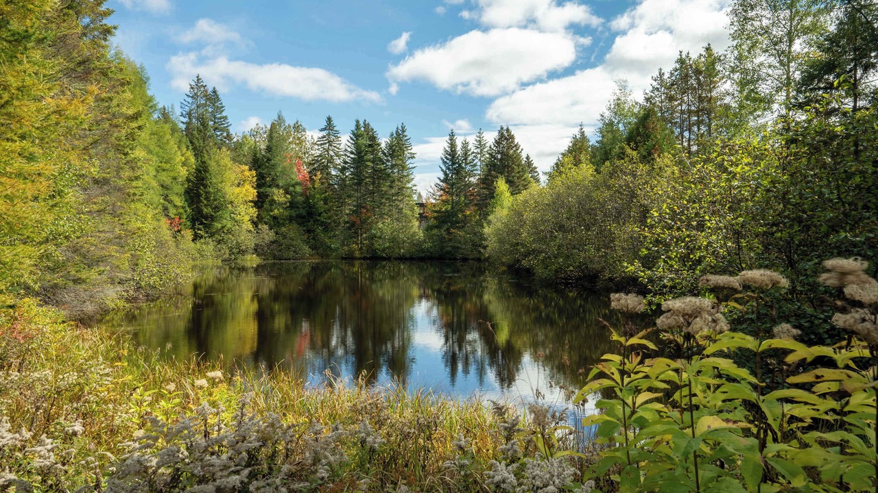 Photo of Outdoor in Saint Donat