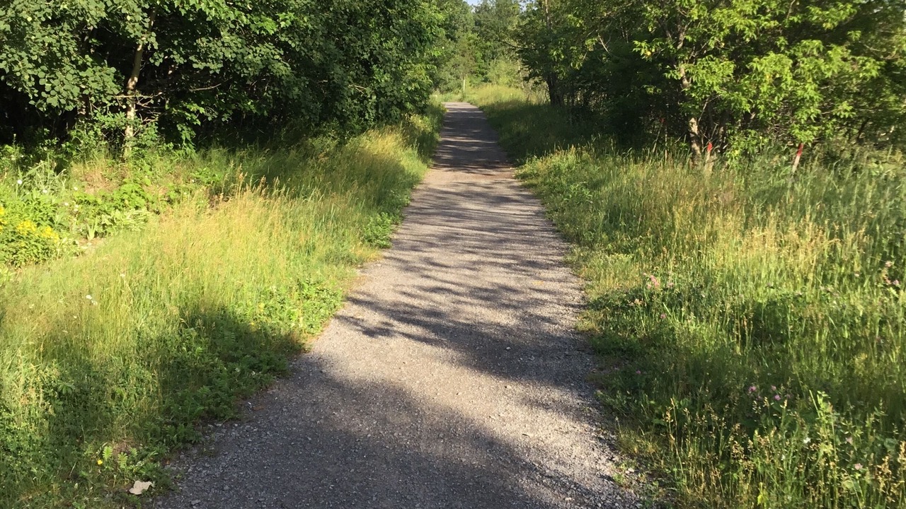 Photo of Outdoor in Mirabel