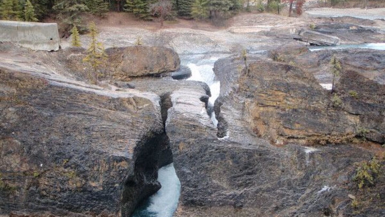 Photo of Outdoor in Golden