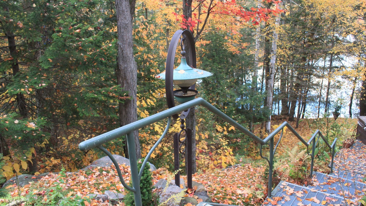Photo of Outdoor in Villa des Bois