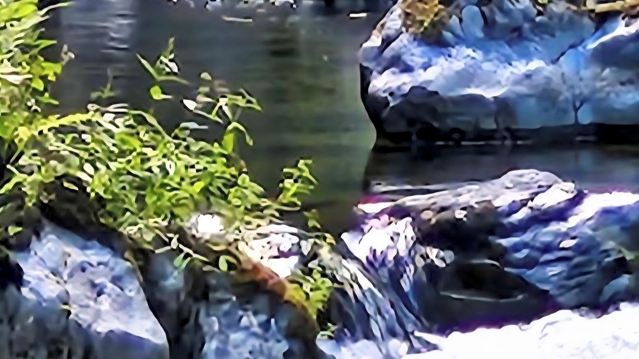 Photo of Others in Shawnigan Lake