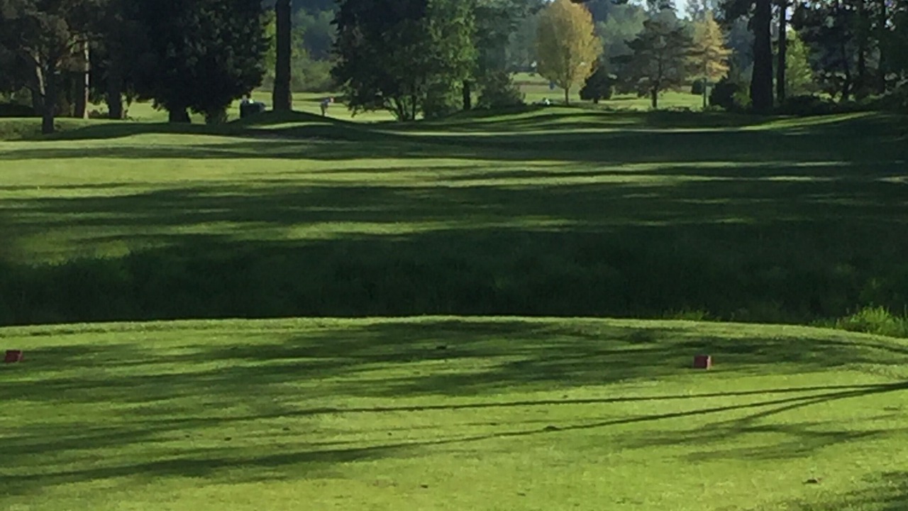 Photo of Others in White Rock