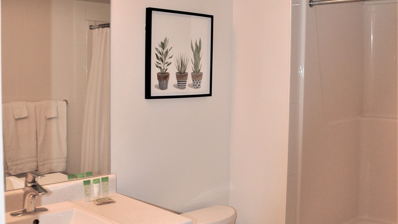 Photo of Bathroom in North Glenmore