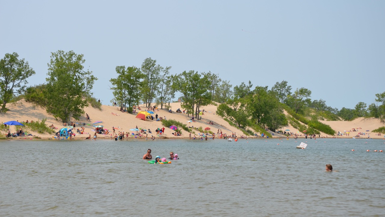 Photo of Others in Picton
