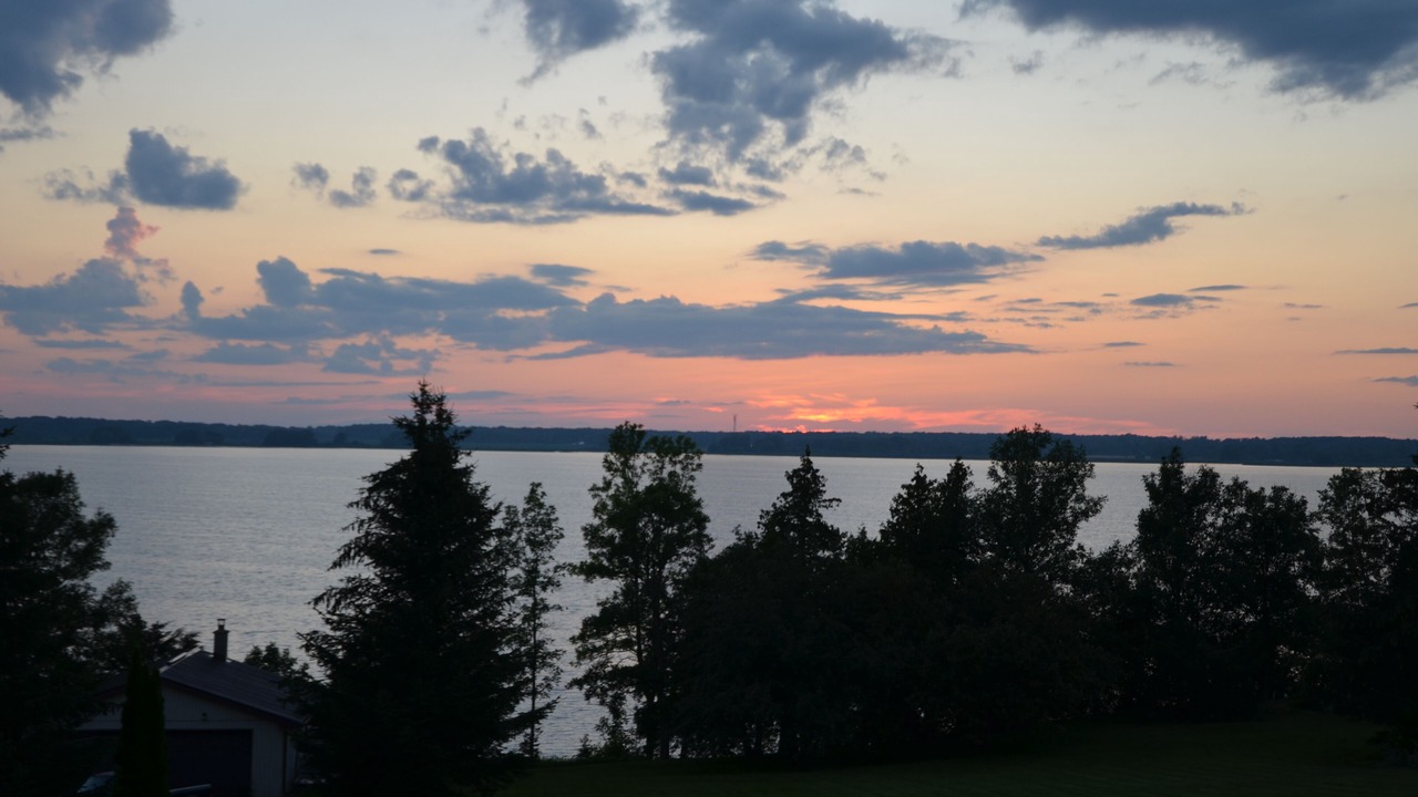 Photo of Outdoor in Picton