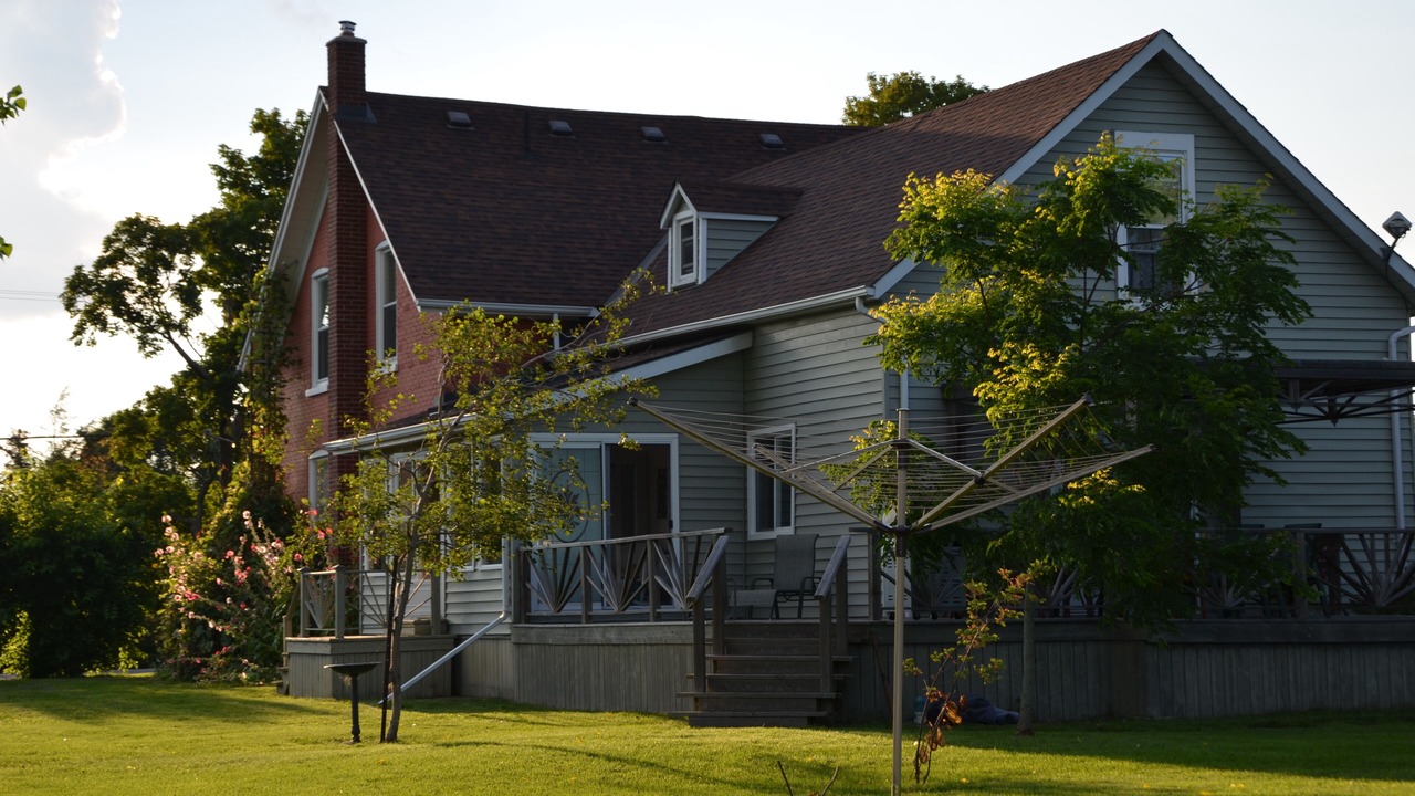 Photo of Others in Picton