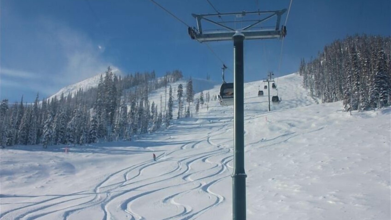 Photo of Others in Golden