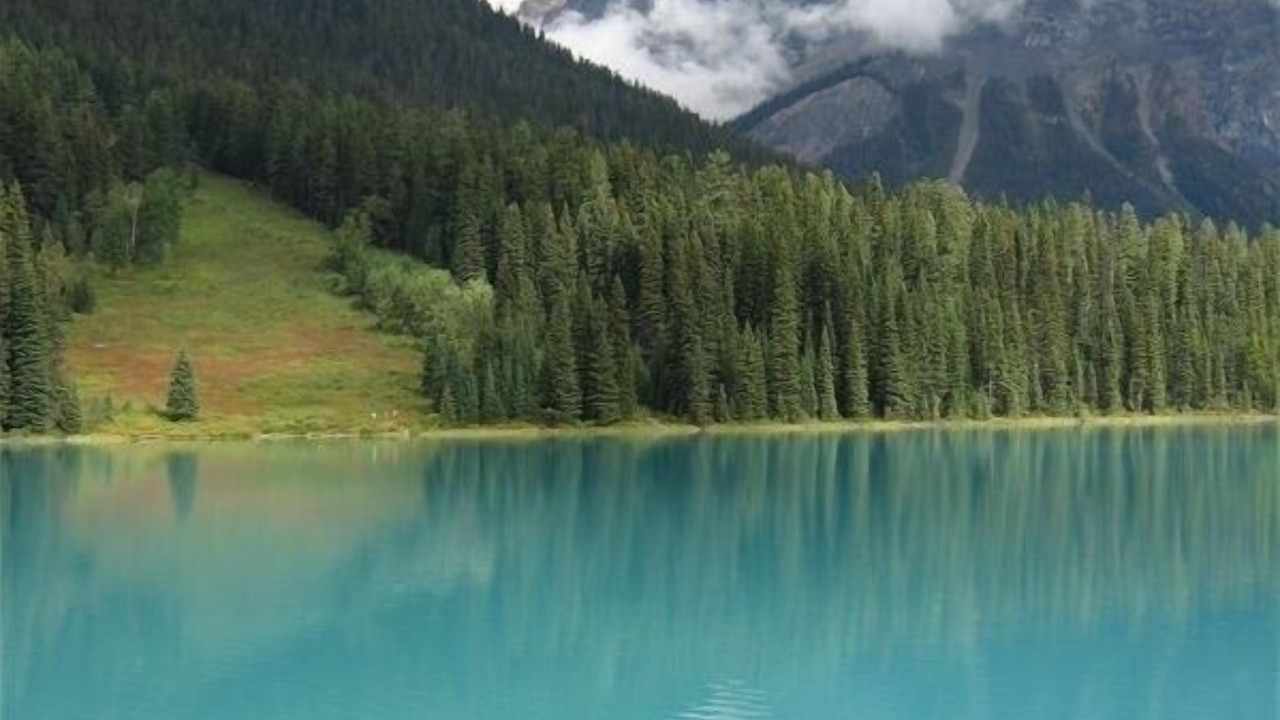Photo of Outdoor in Golden