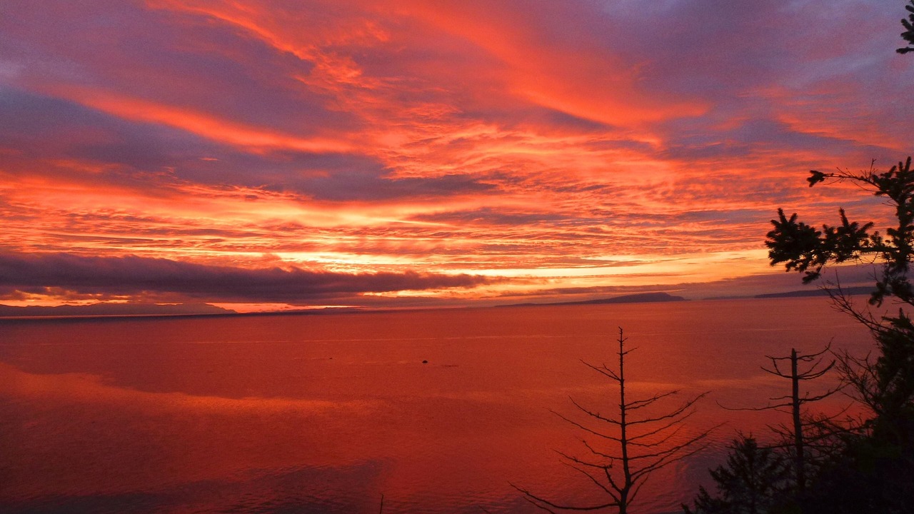 Photo of Others in Comox