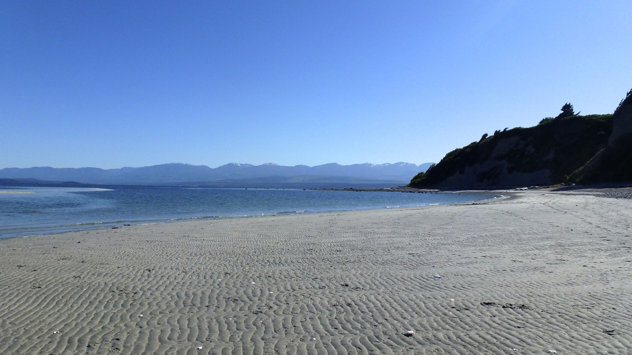 Photo of Others in Comox