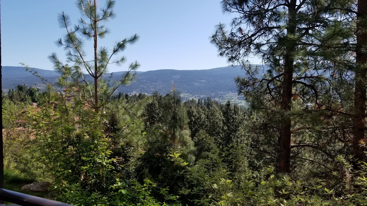 Photo of Others in Quail Ridge