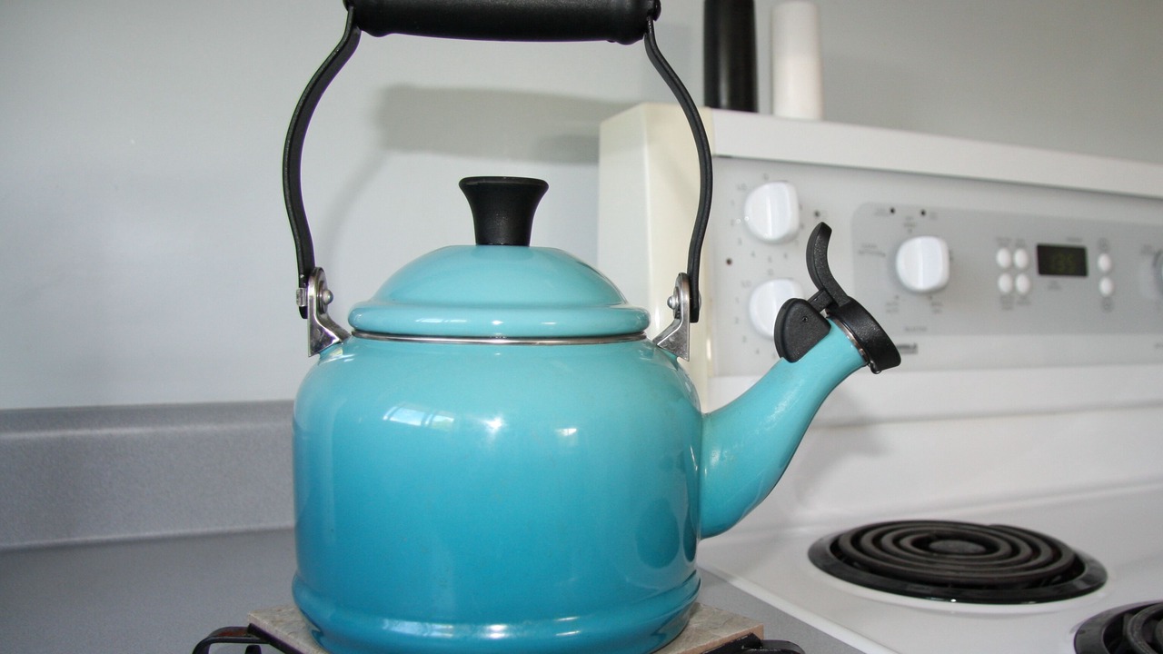 Photo of Kitchen in Saanich West
