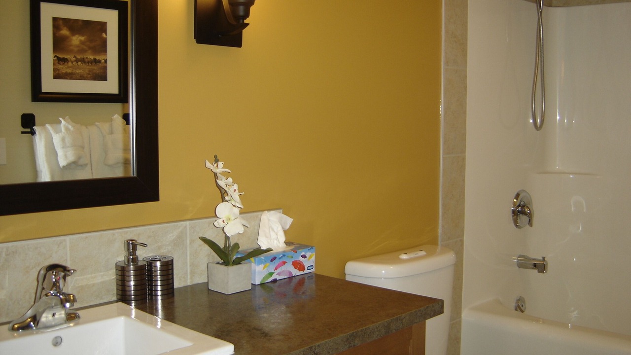 Photo of Bathroom in Dead Man's Flats