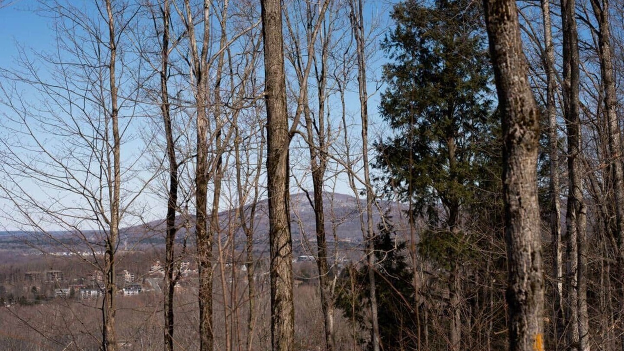 Photo of Others in Bromont