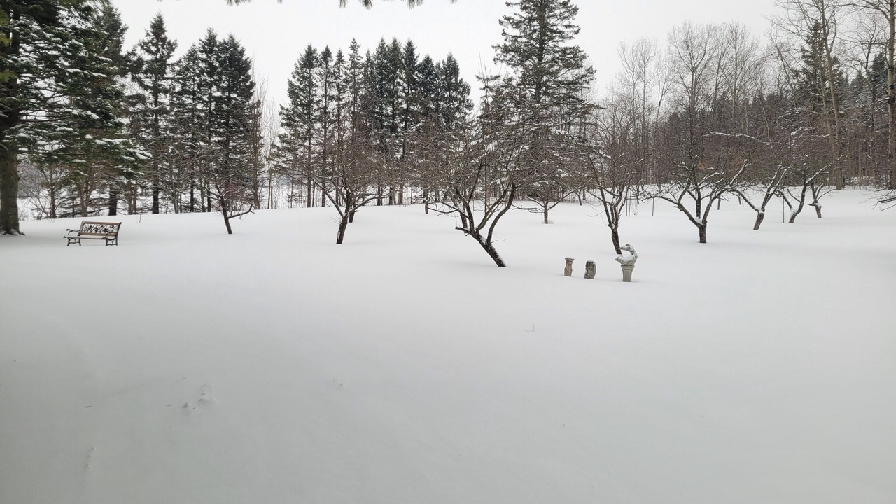 Photo of Others in Saint-Jean-de-Brebeuf