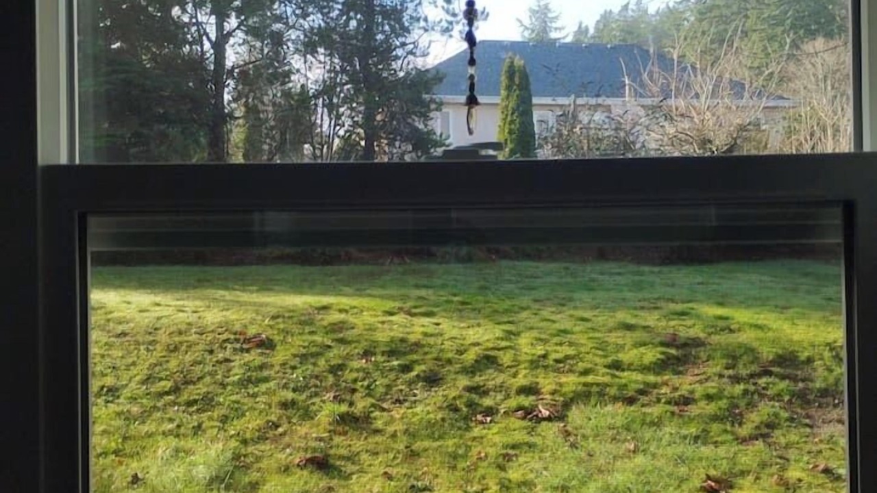 Photo of Others in Regional District of Nanaimo