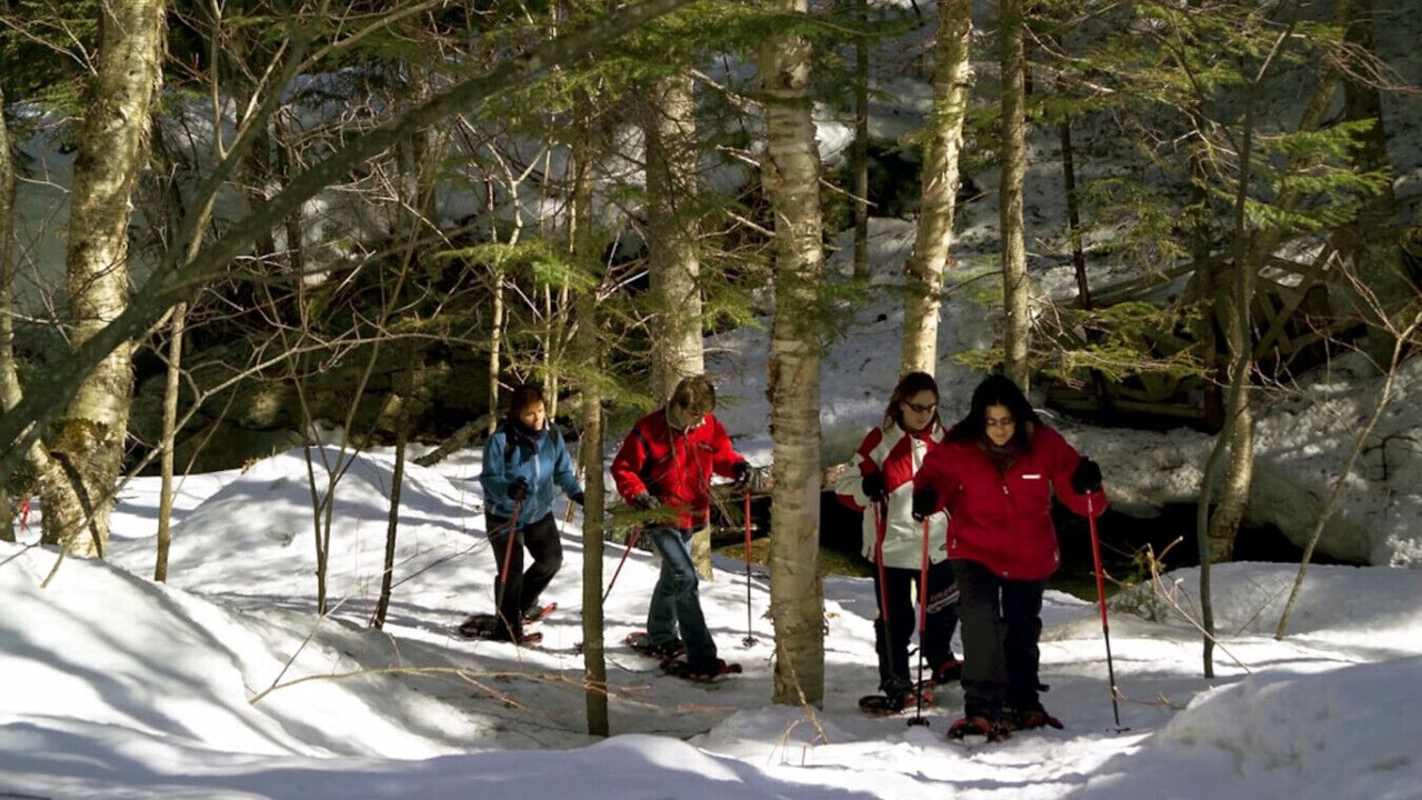 Photo of Others in Saint-Paul-de-Montminy