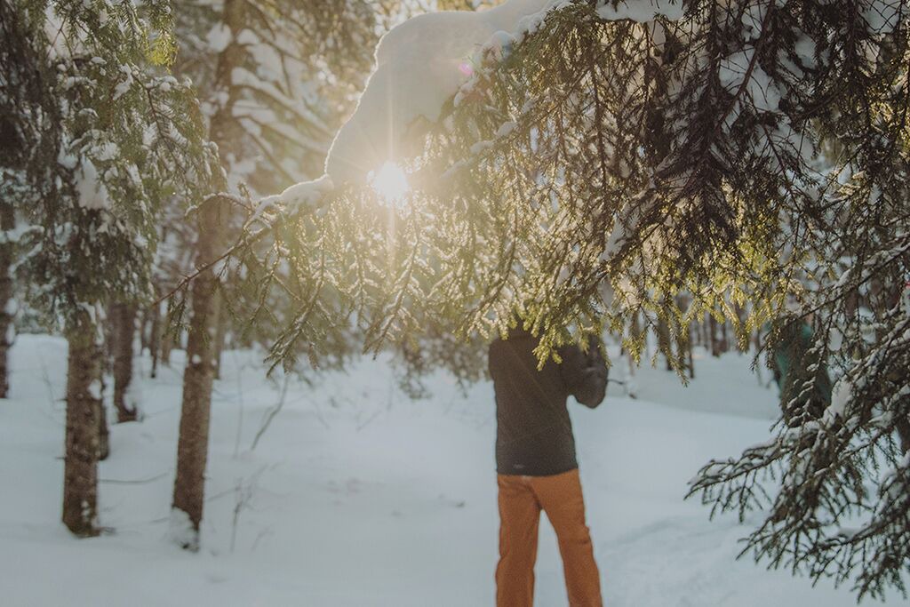 Photo of Others in Saint-Luc-de-Bellechasse